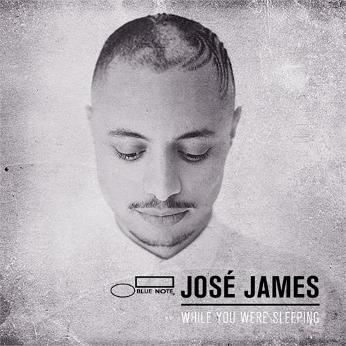 José James While You Were Sleeping (LP)